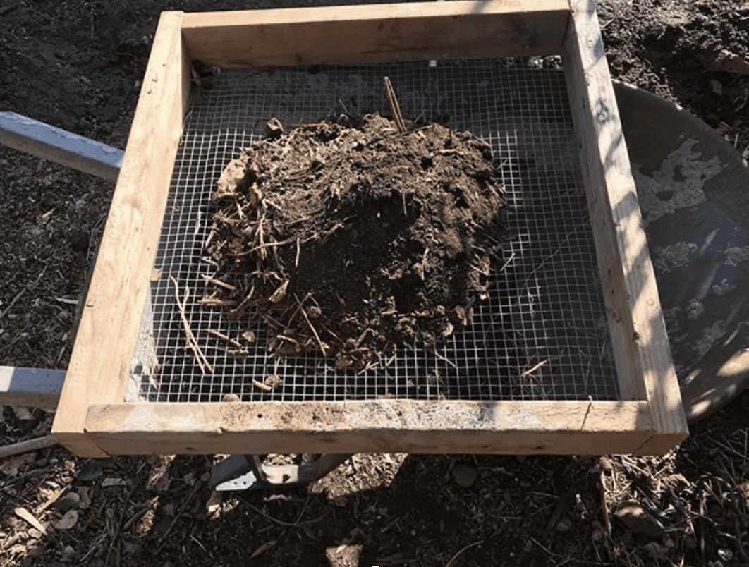   Photo: Sifting compost in a Planting Justice permaculture garden  