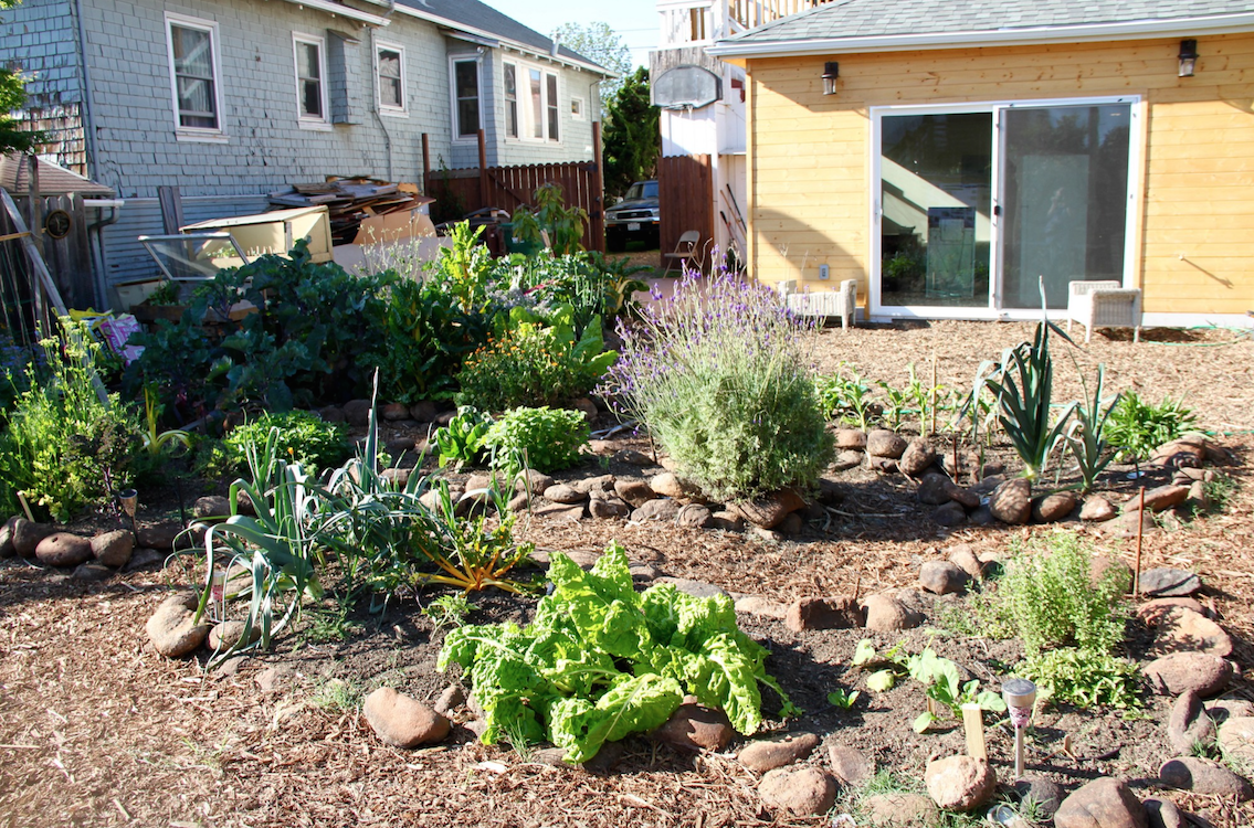   Photo: A Planting Justice permaculture garden in Oakland (occupied territory of the Ohlone people)  